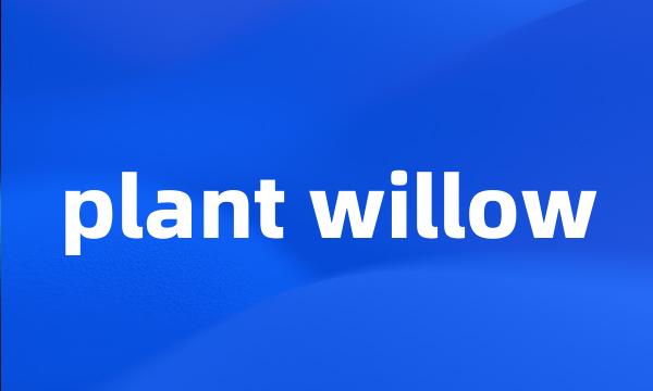 plant willow