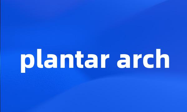 plantar arch