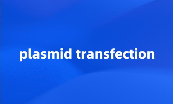 plasmid transfection