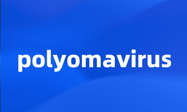 polyomavirus