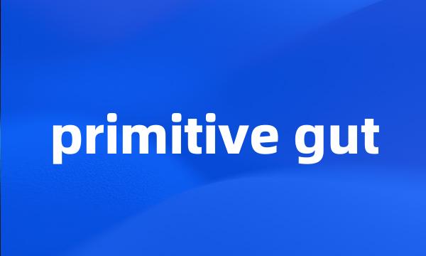 primitive gut