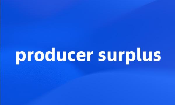 producer surplus