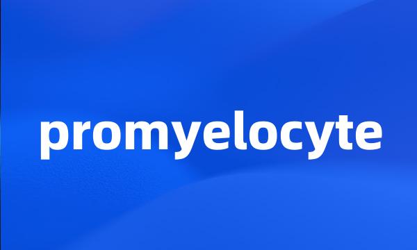 promyelocyte