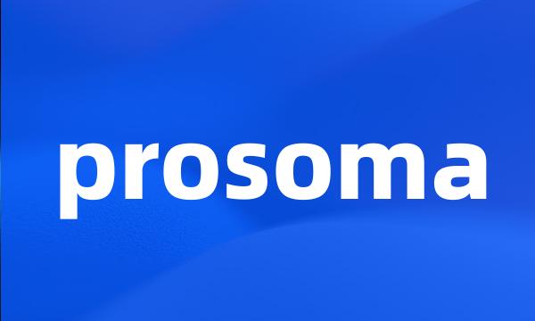 prosoma