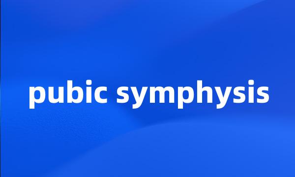 pubic symphysis