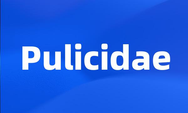 Pulicidae