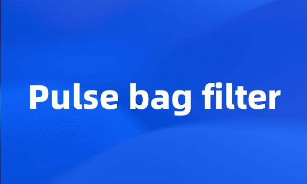 Pulse bag filter