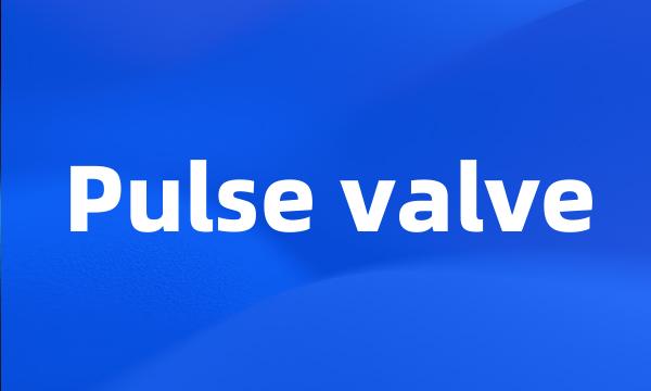 Pulse valve