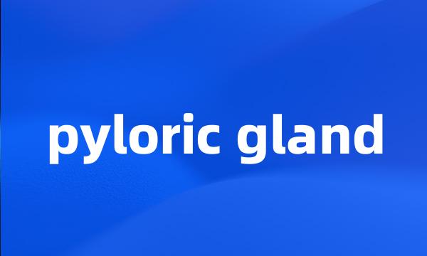 pyloric gland