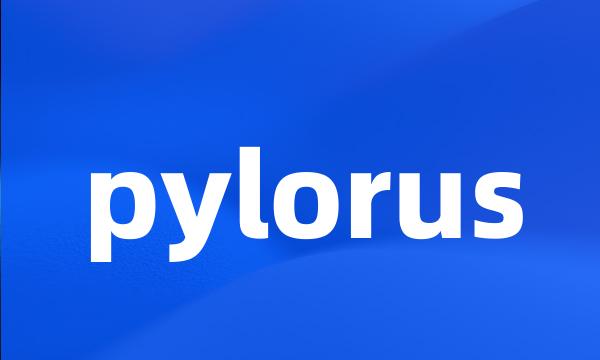 pylorus