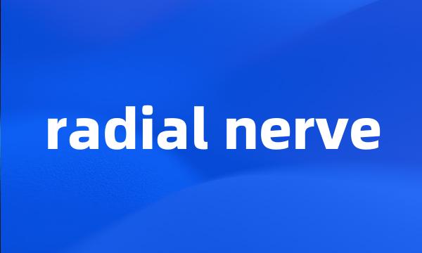 radial nerve