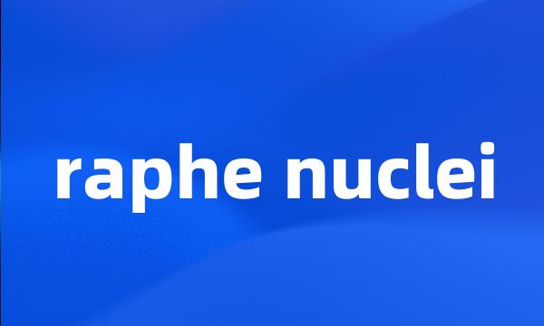 raphe nuclei