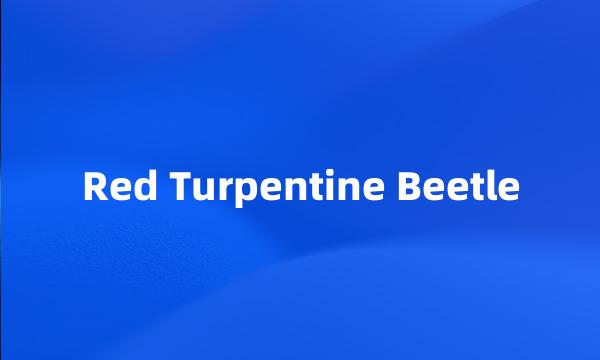 Red Turpentine Beetle