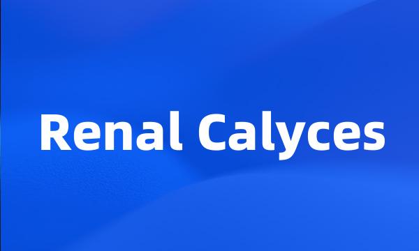 Renal Calyces