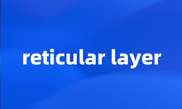 reticular layer