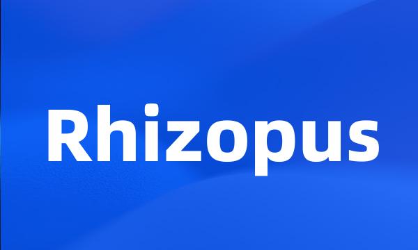 Rhizopus