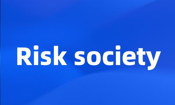 Risk society