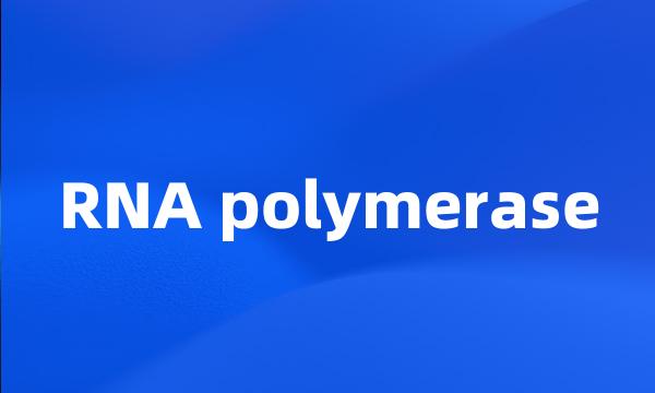 RNA polymerase