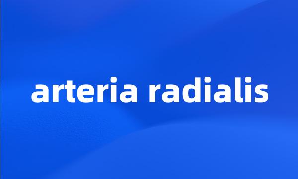 arteria radialis