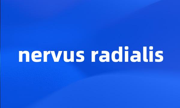 nervus radialis