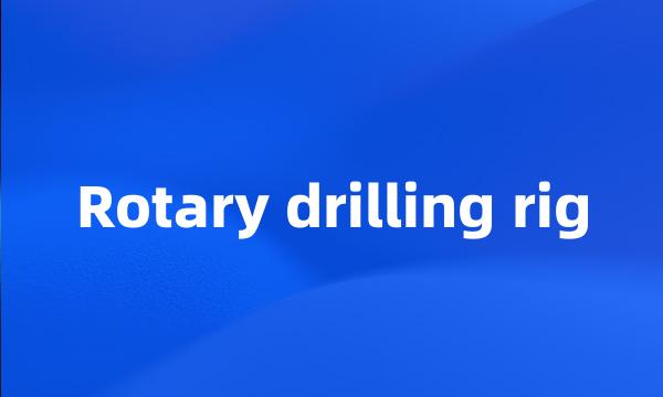 Rotary drilling rig