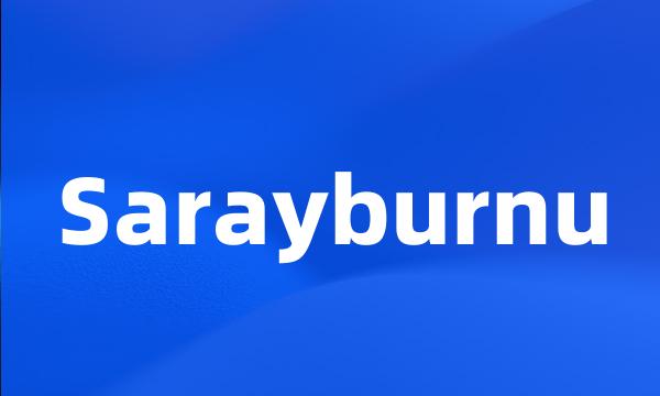 Sarayburnu