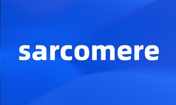 sarcomere