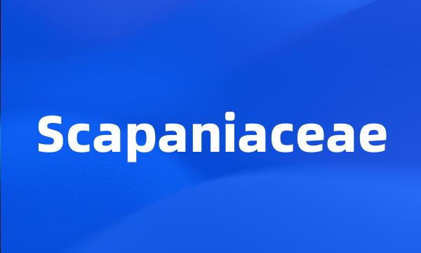 Scapaniaceae