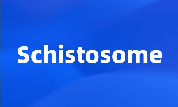 Schistosome