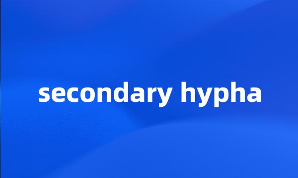 secondary hypha