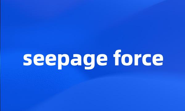 seepage force