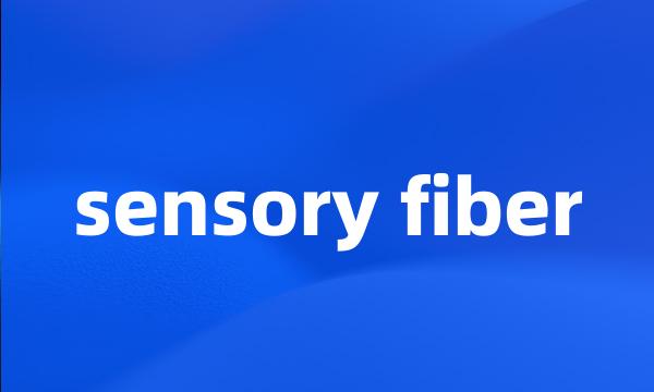 sensory fiber