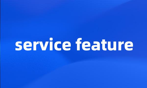 service feature