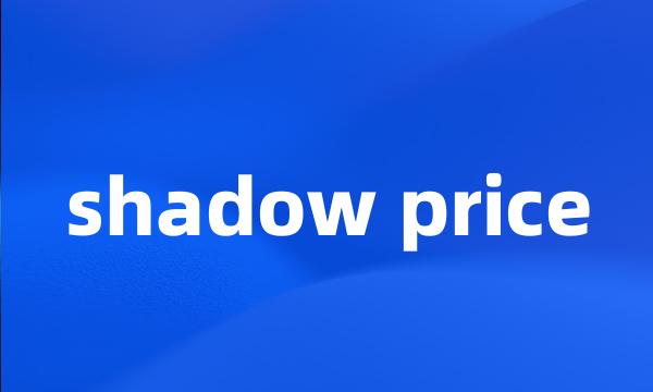 shadow price