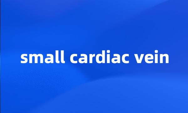 small cardiac vein