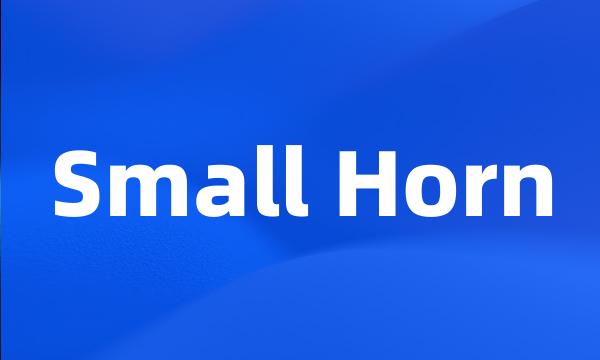 Small Horn