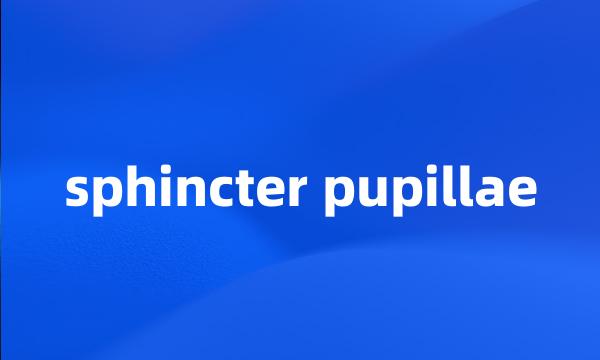 sphincter pupillae