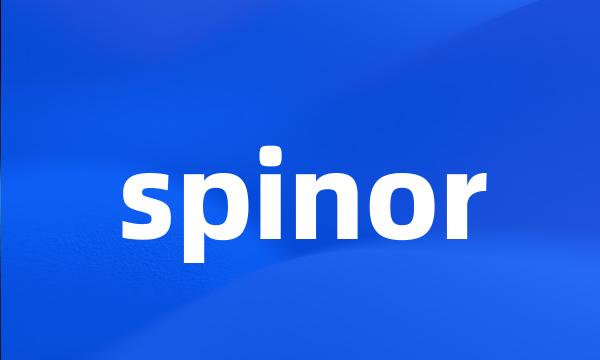 spinor