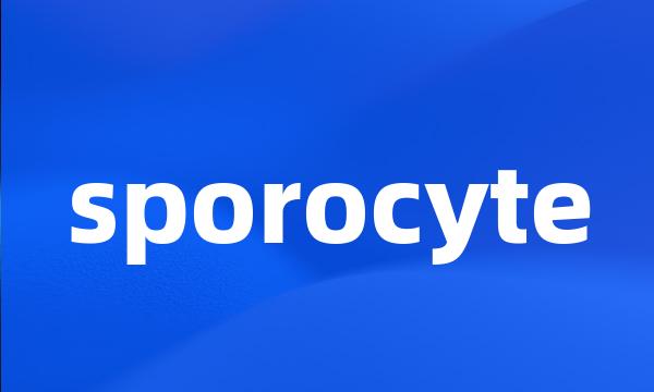 sporocyte