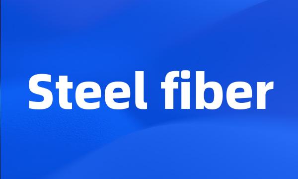 Steel fiber