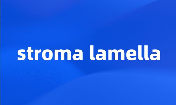 stroma lamella