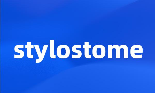 stylostome