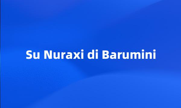 Su Nuraxi di Barumini