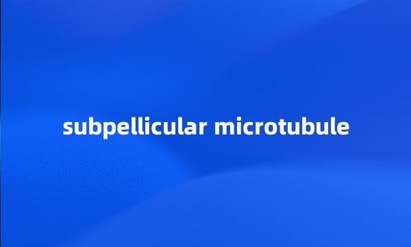 subpellicular microtubule