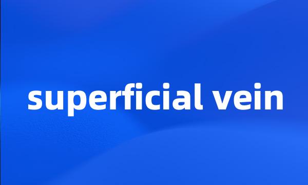 superficial vein