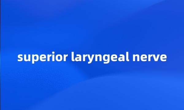 superior laryngeal nerve