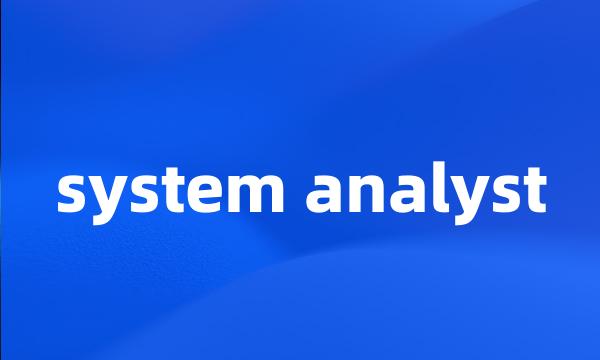 system analyst