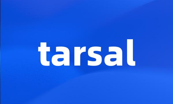 tarsal