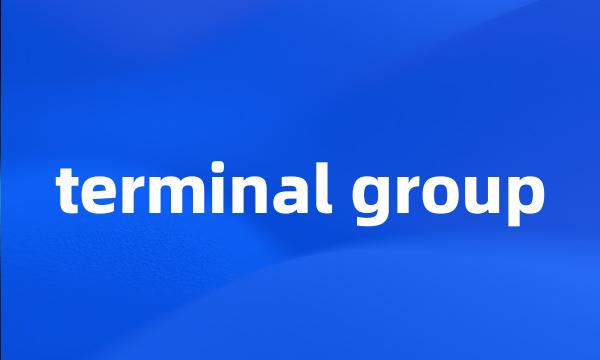 terminal group