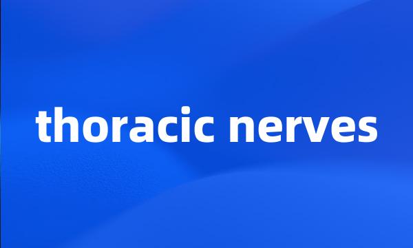 thoracic nerves